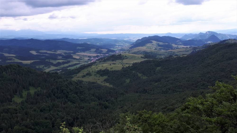 Wycieczka w Pieniny