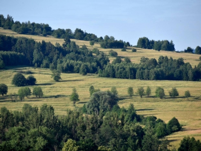 Ogólnopolskie Forum Fotografii Krajoznawczej PTTK - zdjęcie13