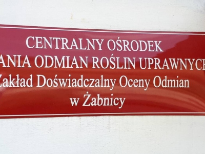 Stacja Doświadczalna Oceny Odmian w Żabnicy - zdjęcie2