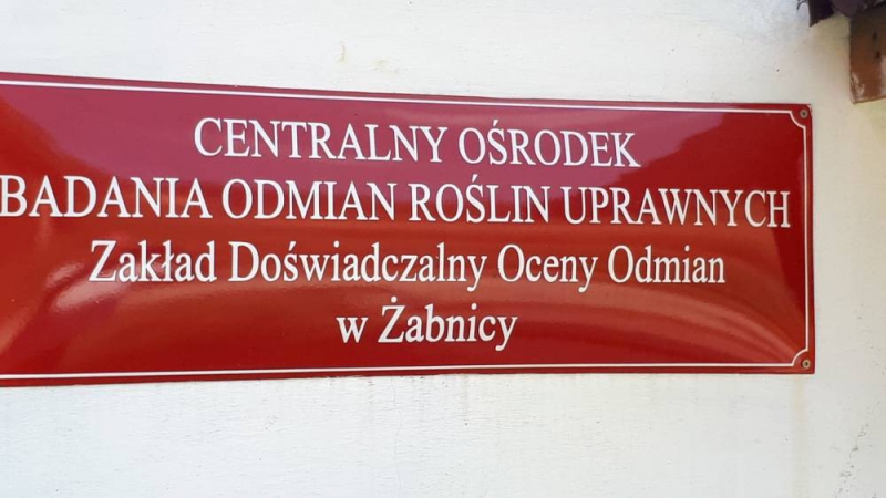 Stacja Doświadczalna Oceny Odmian w Żabnicy