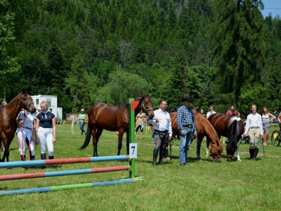 Niedziela w siodle - zdjęcie104