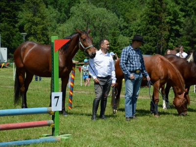 Niedziela w siodle - zdjęcie102