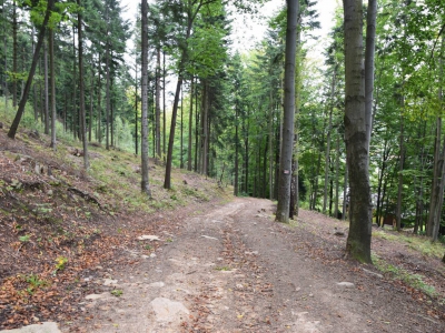 Cross Beskidzki - zdjęcie31