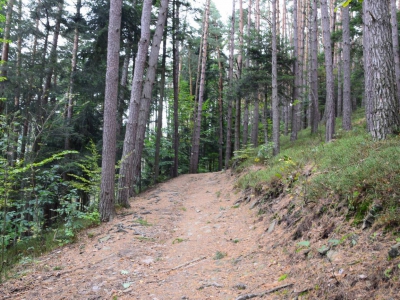 Cross Beskidzki - zdjęcie19