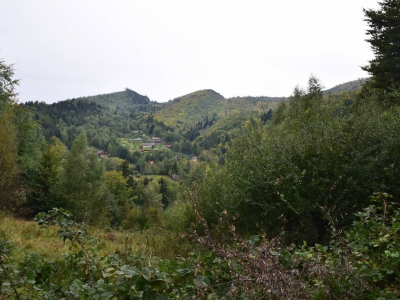 Cross Beskidzki - zdjęcie40