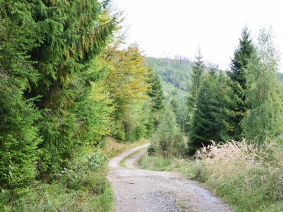 Cross Beskidzki - zdjęcie30