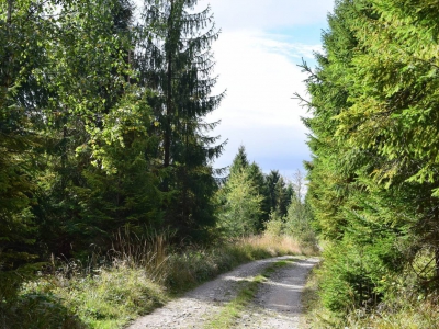 Cross Beskidzki - zdjęcie29