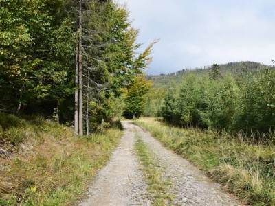 Cross Beskidzki - zdjęcie28