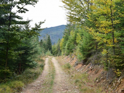 Cross Beskidzki - zdjęcie27