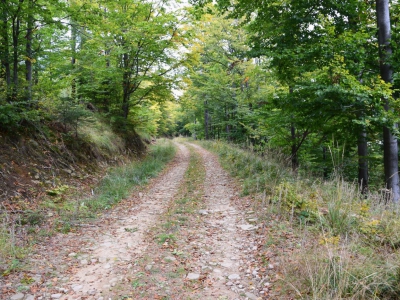 Cross Beskidzki - zdjęcie26