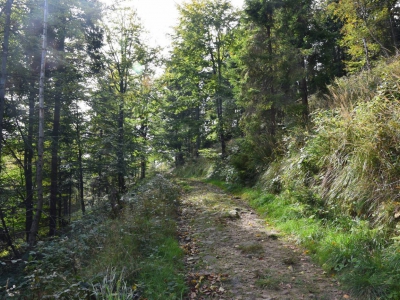 Cross Beskidzki - zdjęcie18