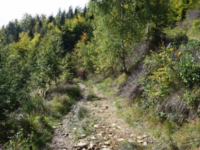 Cross Beskidzki - zdjęcie15