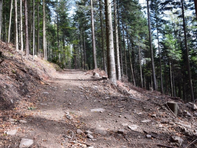 Cross Beskidzki - zdjęcie8