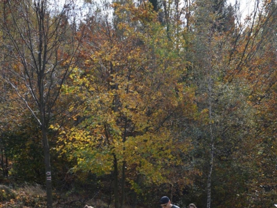 Cross Beskidzki - zdjęcie108