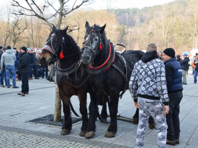 Jubileuszowe Zawody Furmanów za nami! - zdjęcie296