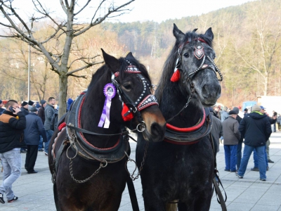 Jubileuszowe Zawody Furmanów za nami! - zdjęcie298