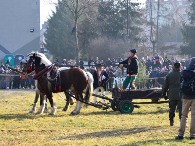 Jubileuszowe Zawody Furmanów za nami! - zdjęcie295