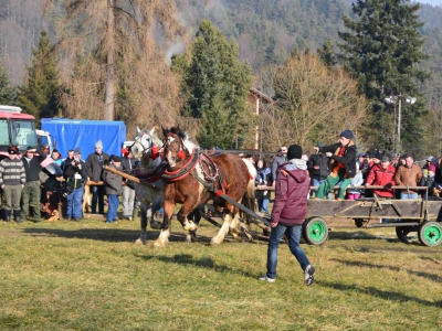 Jubileuszowe Zawody Furmanów za nami! - zdjęcie294