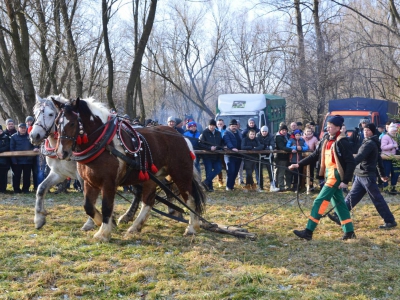 Jubileuszowe Zawody Furmanów za nami! - zdjęcie293