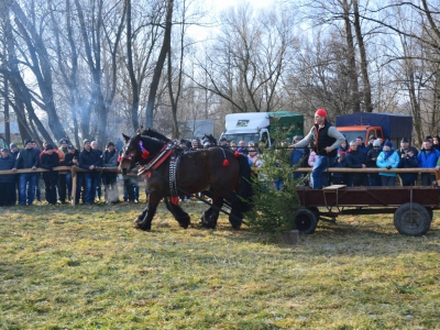 Jubileuszowe Zawody Furmanów za nami! - zdjęcie288