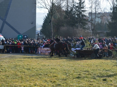 Jubileuszowe Zawody Furmanów za nami! - zdjęcie280