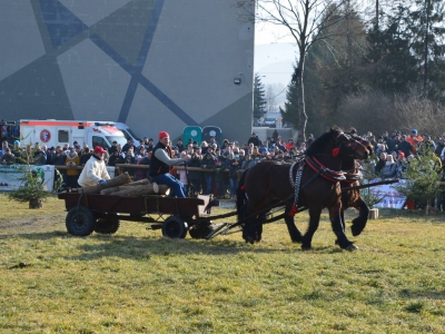 Jubileuszowe Zawody Furmanów za nami! - zdjęcie289