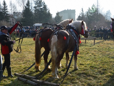 Jubileuszowe Zawody Furmanów za nami! - zdjęcie283