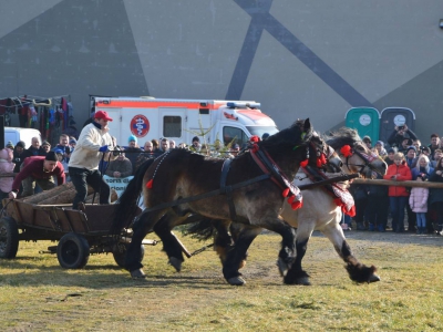 Jubileuszowe Zawody Furmanów za nami! - zdjęcie282