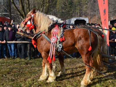 Jubileuszowe Zawody Furmanów za nami! - zdjęcie281