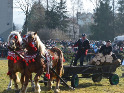 Jubileuszowe Zawody Furmanów za nami! - zdjęcie279