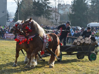 Jubileuszowe Zawody Furmanów za nami! - zdjęcie277