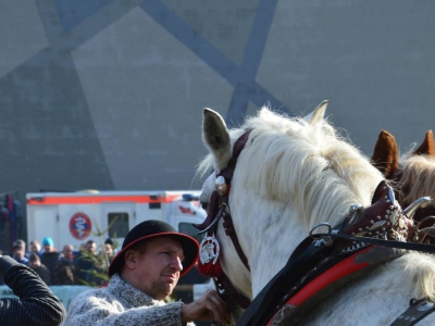 Jubileuszowe Zawody Furmanów za nami! - zdjęcie272