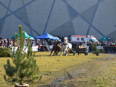 Jubileuszowe Zawody Furmanów za nami! - zdjęcie258