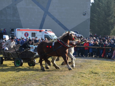 Jubileuszowe Zawody Furmanów za nami! - zdjęcie255