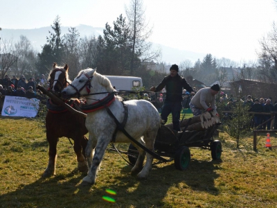 Jubileuszowe Zawody Furmanów za nami! - zdjęcie270