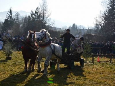 Jubileuszowe Zawody Furmanów za nami! - zdjęcie269