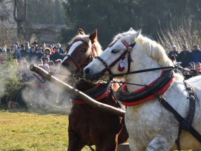 Jubileuszowe Zawody Furmanów za nami! - zdjęcie267