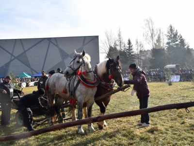 Jubileuszowe Zawody Furmanów za nami! - zdjęcie156