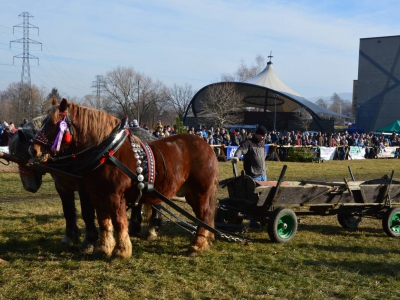 Jubileuszowe Zawody Furmanów za nami! - zdjęcie261