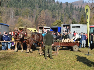 Jubileuszowe Zawody Furmanów za nami! - zdjęcie262