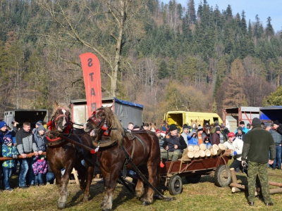 Jubileuszowe Zawody Furmanów za nami! - zdjęcie231