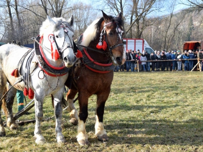 Jubileuszowe Zawody Furmanów za nami! - zdjęcie146