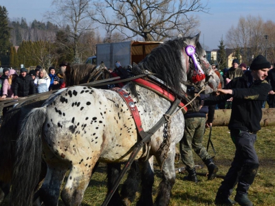 Jubileuszowe Zawody Furmanów za nami! - zdjęcie259