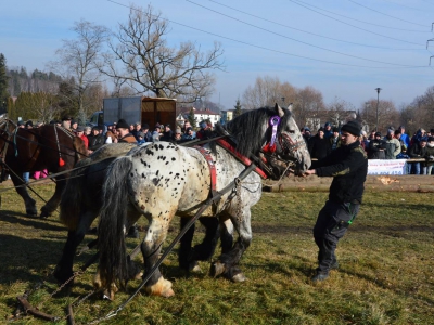 Jubileuszowe Zawody Furmanów za nami! - zdjęcie256