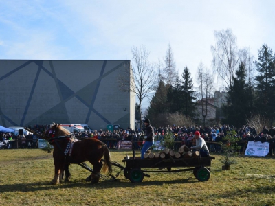 Jubileuszowe Zawody Furmanów za nami! - zdjęcie251