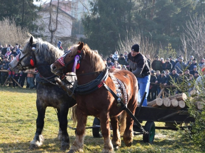 Jubileuszowe Zawody Furmanów za nami! - zdjęcie254