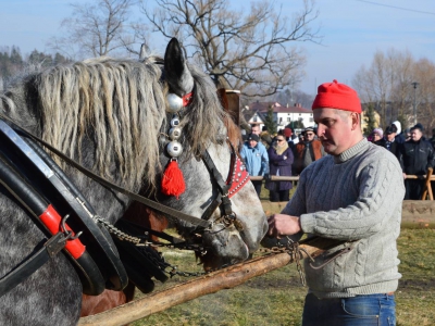 Jubileuszowe Zawody Furmanów za nami! - zdjęcie237