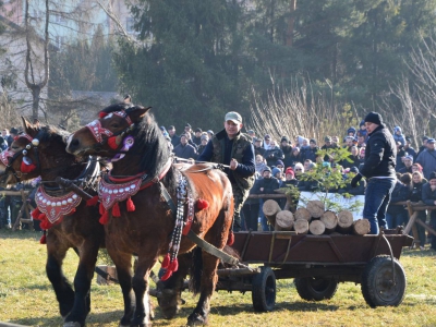 Jubileuszowe Zawody Furmanów za nami! - zdjęcie248