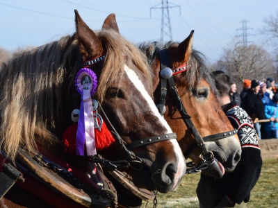 Jubileuszowe Zawody Furmanów za nami! - zdjęcie249