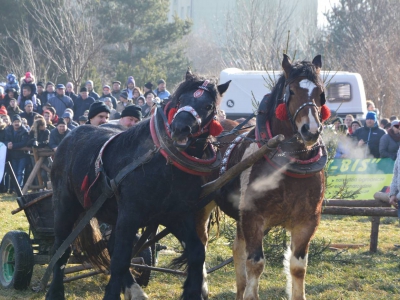 Jubileuszowe Zawody Furmanów za nami! - zdjęcie247